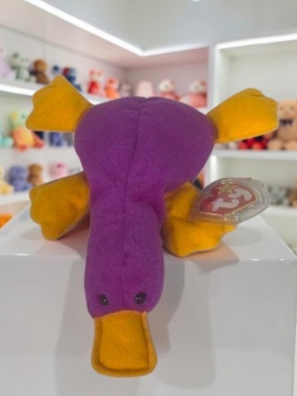 Vintage Ty Beanie Baby Patti the Platypus with Acrylic Display Case